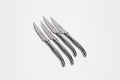 Couteau de table Laguiole Inox - Argent Inox  23 cm