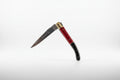 Laguiole compact
