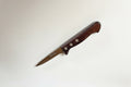 Couteaux à grillades pradel SUPERCOUPE